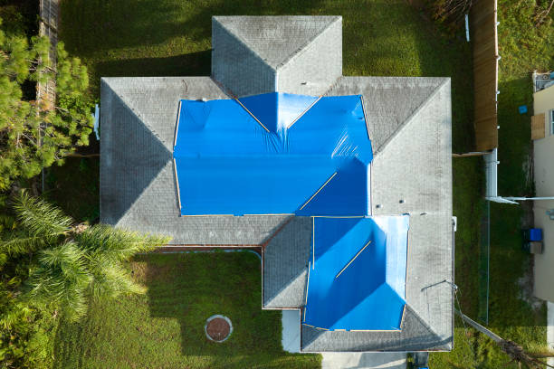Best Storm Damage Roof Repair  in Crawfordville, FL