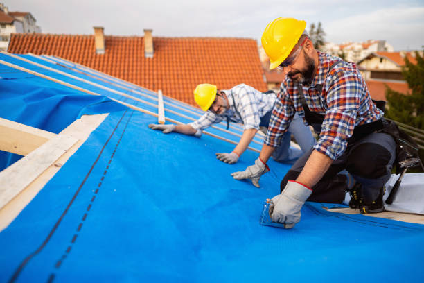 Best Chimney Flashing Repair  in Crawfordville, FL