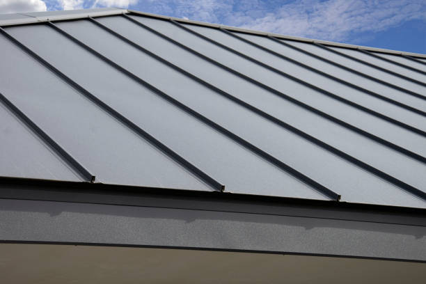Best Roof Leak Repair  in Crawfordville, FL